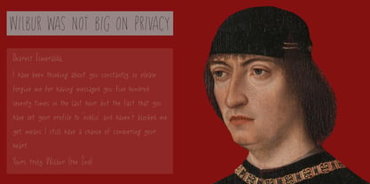 Privacy Filter Font Poster 6